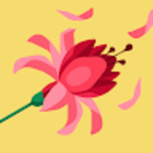 Meet your Posher, Christy